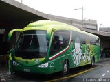 Sociedade Esportiva Palmeiras