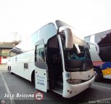Ejecutivos Boga 29 