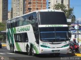 Expresos Flamingo 0051, por Andr�s Ascanio