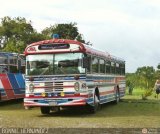 Expresos Nirgua 0012