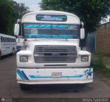 Licirsa 04
