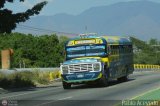 Transporte Colectivo Palo Negro 050