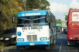 DC - Unin Conductores Ral Leoni