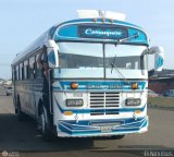 Colectivos Guasare C.A 029, por El Niobs