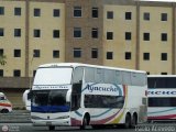 Unin Conductores Ayacucho 2080, por Pablo Acevedo