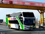 Expreso Internacional Palomino 8013