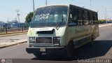 ZU - Transbusmara