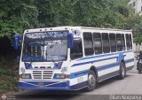 Transporte Privado Joaranny 010