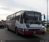 Expresos Pegamar 0013