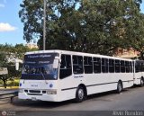 Transporte El Esfuerzo 08