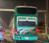 Grupo Divino Se�or S.A.C. (Per�) 958