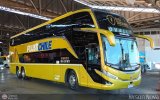 Buses Pluss Chile (Chile)
