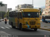 Particular x00, por Alfredo Montes de Oca