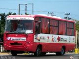 Ruta Estudiantil Bicentenaria Guanta