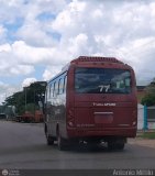 TransApure