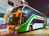 Expreso Internacional Palomino 8018, por Leonardo Saturno