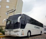 Expresos Flamingo 0008