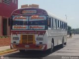 Colectivos Cachiri 11, por Abner Sarcos
