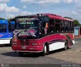 A.C. R�mulo Gallegos 10