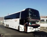 Expresos Flamingo 0094, por Andrs Ascanio