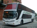 Expresos Flamingo 0108
