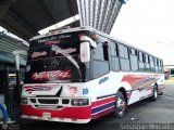 Expresos La Gran Colombia 23