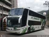 Expresos Flamingo 0078