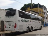 Expresos Flamingo 0008, por Motobuses 2015