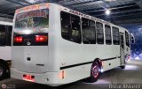 A.C. Transporte Vencollano 36