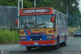 Expresos Juregui 077
