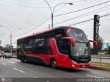 Transportes Sullana Express (Per�) 346