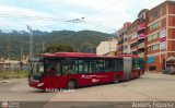 Trolmerida - Tromerca 02, por Andrs Figuera