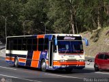 Transporte Unido (VAL - MCY - CCS - SFP) 052