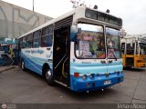Micros Amarillas 16, por Jerson Nova