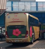 Cetur S.R.L. 959, por Leonardo Saturno