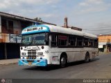 Cooperativa Carlos Arvelo 15