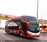 Transportes Tauro Bus (Per)