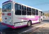 A.C. Transporte Central Mor�n Coro 081, por Gabriel Vergara