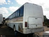 En Chiveras Abandonados Recuperacin 117