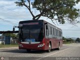 Bus Trujillo 144