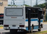 A.C. L�nea Paez (Acarigua - San Rafael) 44