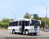 Coop. Transporte Menca de Leoni 013