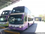 Cndor Bus 2231