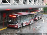 Bus CCS 1308, por Alfredo Montes de Oca
