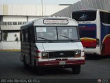 Lnea Andrs Bello 24, por Alfredo Montes de Oca
