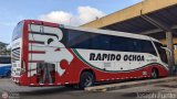 Rpido Ochoa 10175