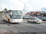 De Palm Tours 10, por Freddy Salas