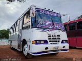 Transporte Tren al Sur C.A. 06, por Javier Parmalat 