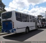 A.C. Transporte Independencia 024, por Mauricio Hernndez