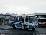 A.C. de Transporte Larense 48, por Aly Baranauskas